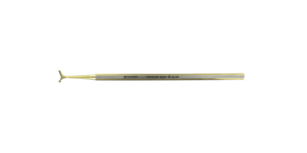 Burnishers Titanium Ball B31S 1.9 mm Ball x 10 mm