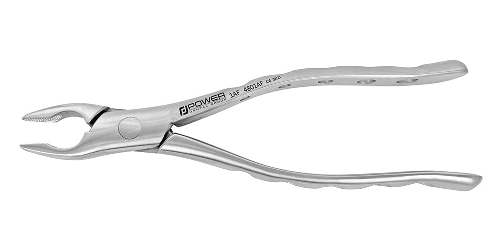 American 1AF Extraction Forceps - Upper Central