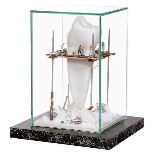 Construction Site - Molar