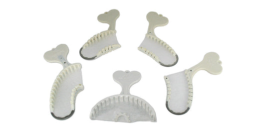 Disposable Fish Bone Tray - Set of 5